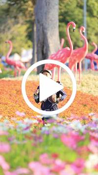 BIB:  <button type="button" onclick="openModal(27583359)" class="btn btn-primary btn-sm float-right" data-toggle="modal" data-target=".modal-high-quality">
                <i class="fa fa-download"></i> Download
                </button>